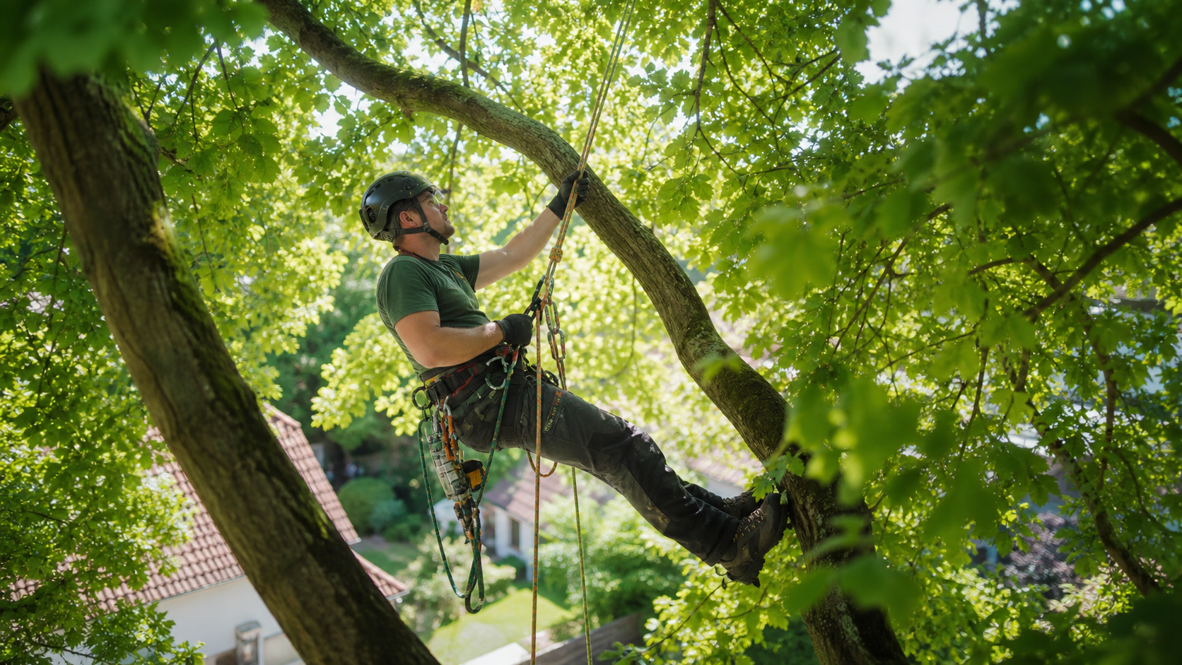 Arbeit mit Seilklettertechnik im Baum